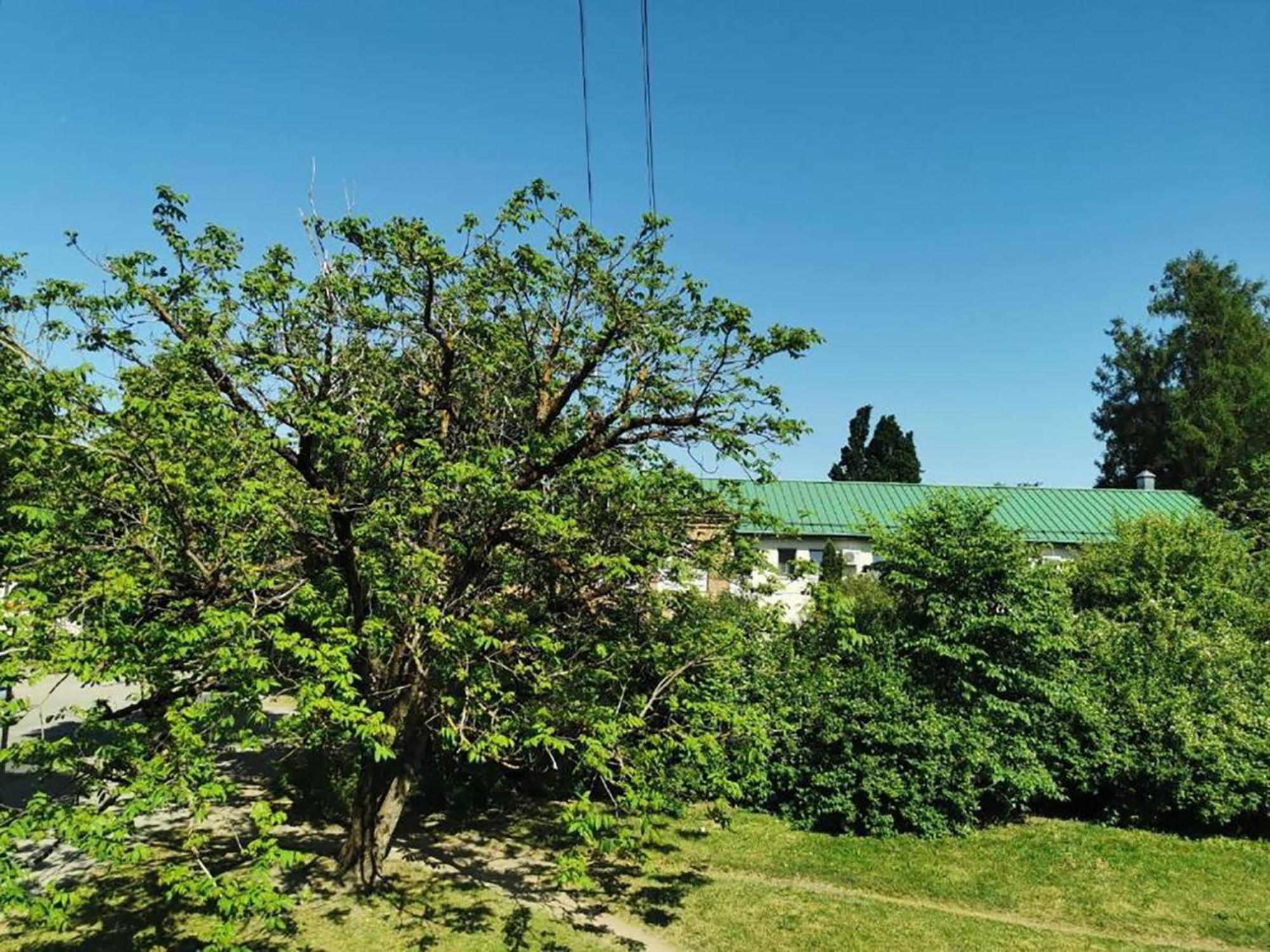 Cesu Apartamenti Cēsis Exterior foto